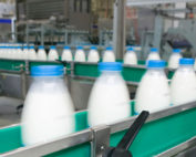 Dairy Processing Safety Engineering Services